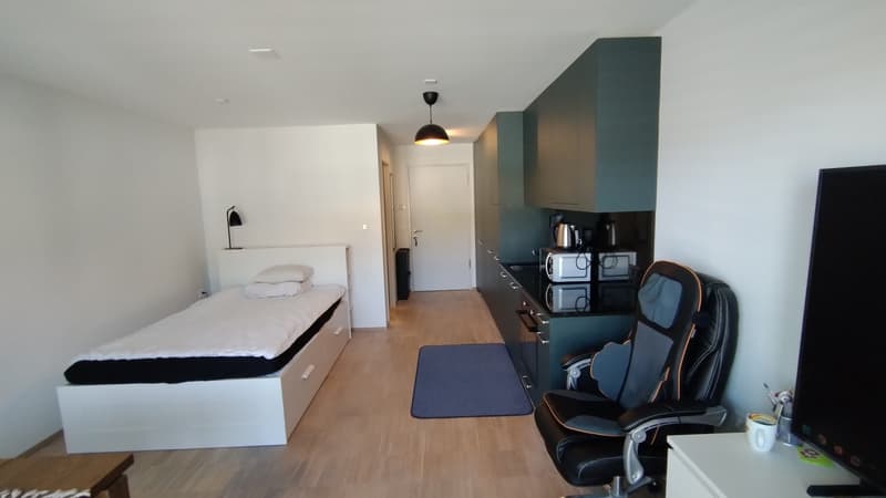 1 zimmer wohnung zu vermieten (Untermiete) - Horw (1)