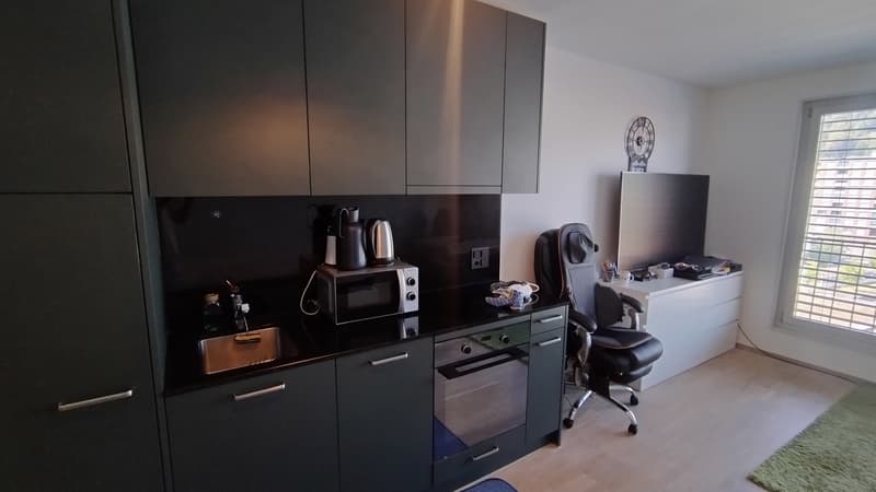 1 zimmer wohnung zu vermieten (Untermiete) - Horw (6)