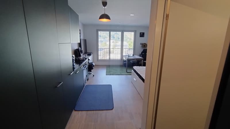 1 zimmer wohnung zu vermieten (Untermiete) - Horw (10)
