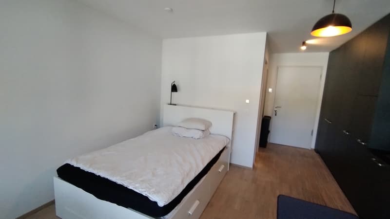 1 zimmer wohnung zu vermieten (Untermiete) - Horw (2)