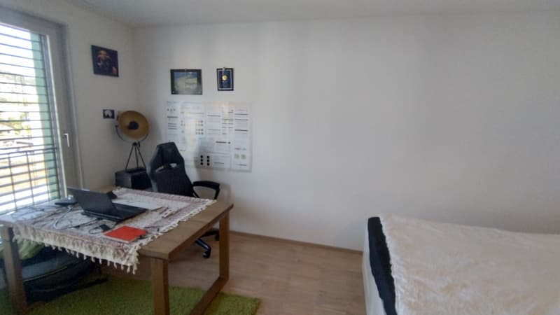 1 zimmer wohnung zu vermieten (Untermiete) - Horw (3)
