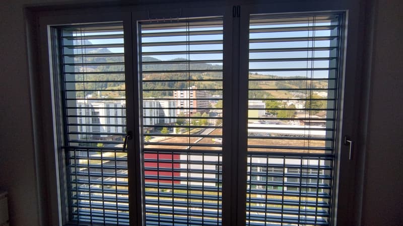 1 zimmer wohnung zu vermieten (Untermiete) - Horw (12)