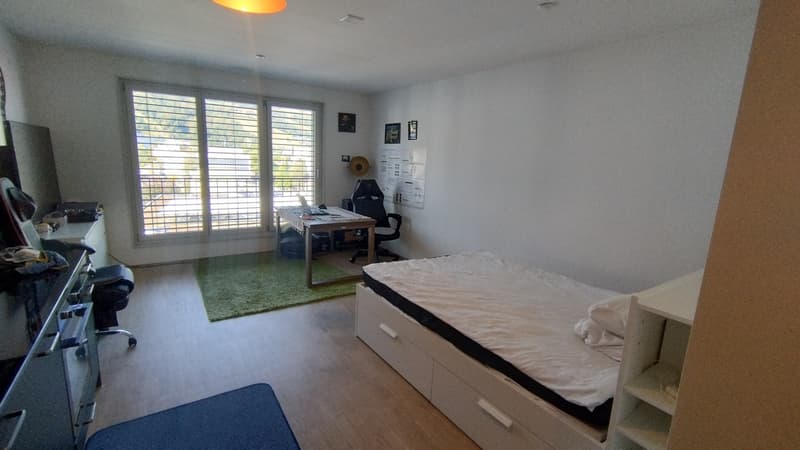 1 zimmer wohnung zu vermieten (Untermiete) - Horw (7)