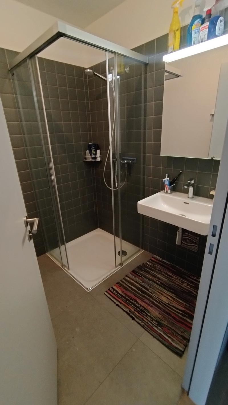 1 zimmer wohnung zu vermieten (Untermiete) - Horw (11)