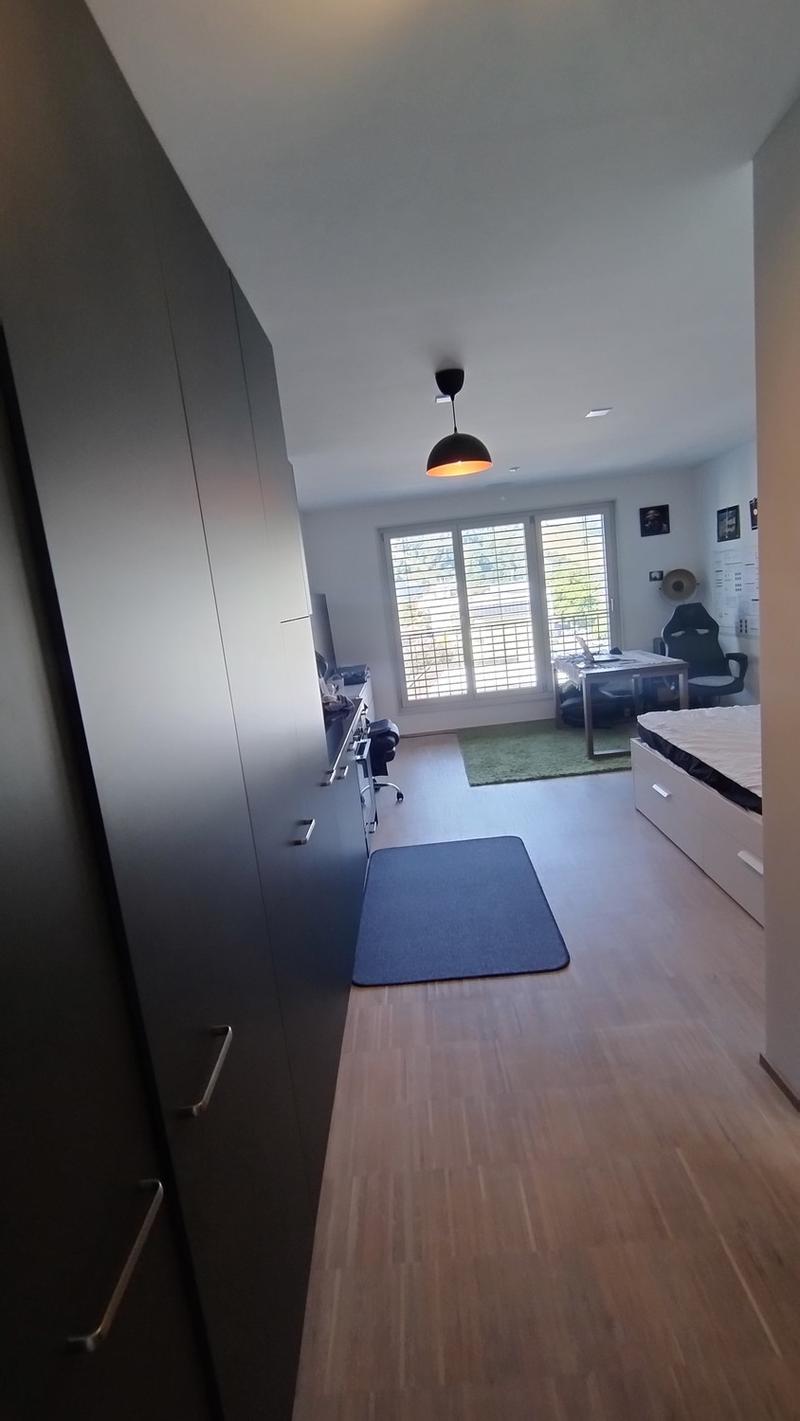 1 zimmer wohnung zu vermieten (Untermiete) - Horw (8)