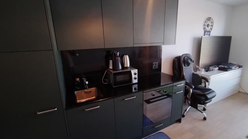1 zimmer wohnung zu vermieten (Untermiete) - Horw (5)