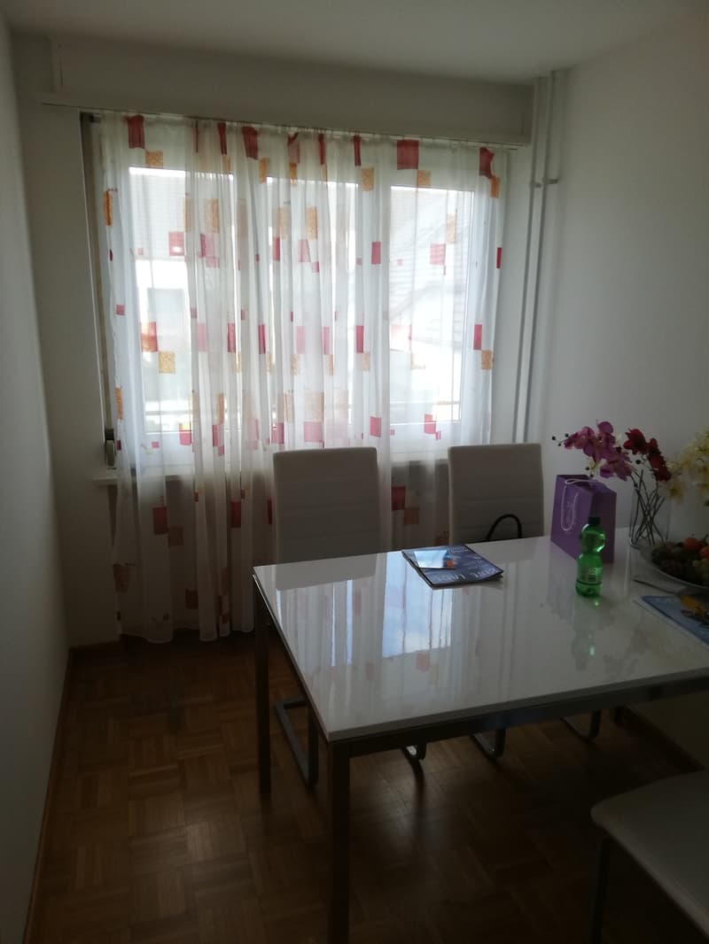 Grosse 3 Zimmer Wohnung mit 2 Balkonen und grossen Flur (3)