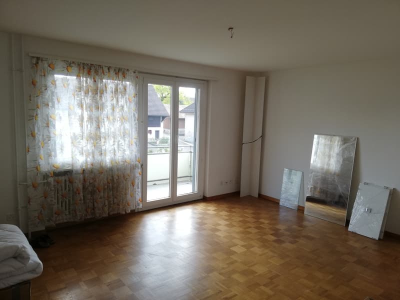Grosse 3 Zimmer Wohnung mit 2 Balkonen und grossen Flur (8)