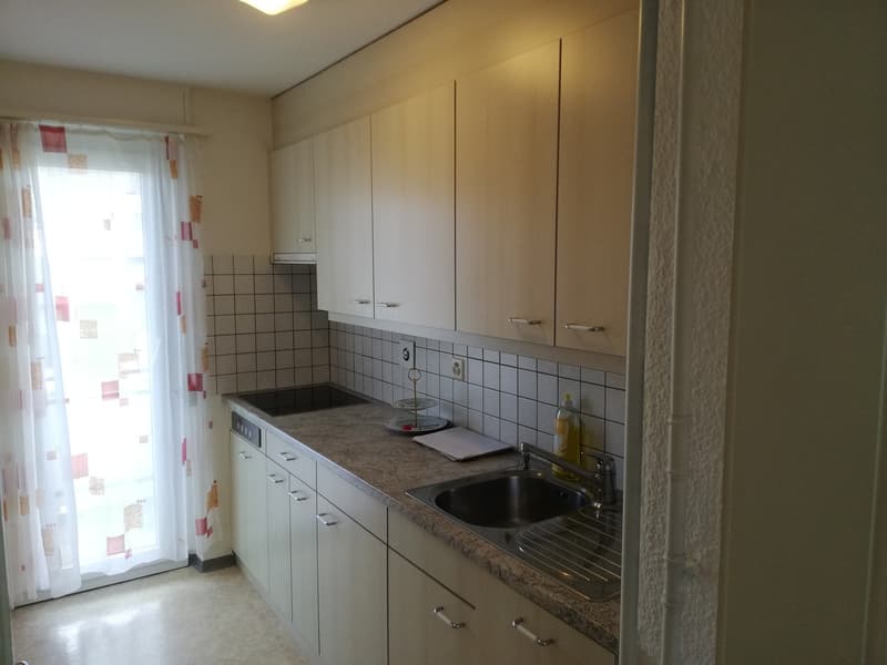 Grosse 3 Zimmer Wohnung mit 2 Balkonen und grossen Flur (4)