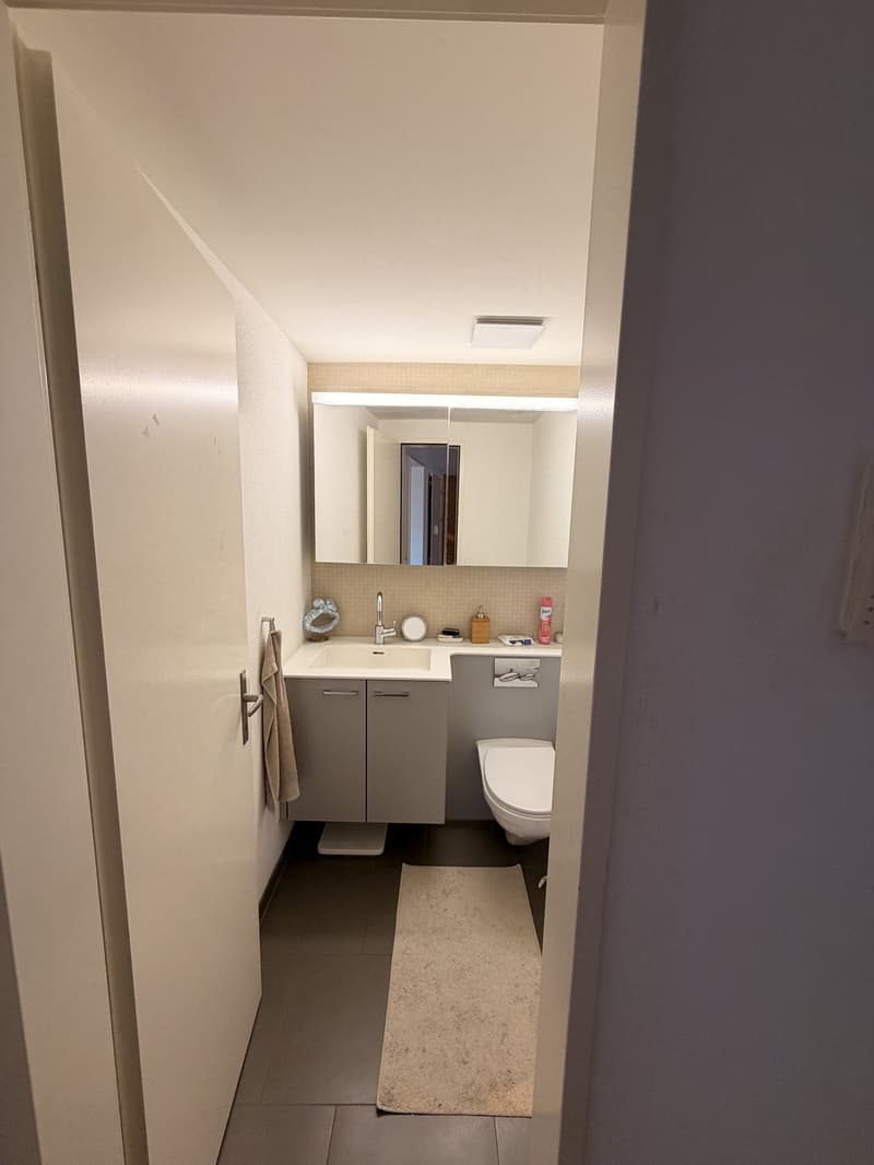 Zimmer in 5er WG zur Untermiete | Ab sofort bis Jan/Feb | Uetliberg (11)