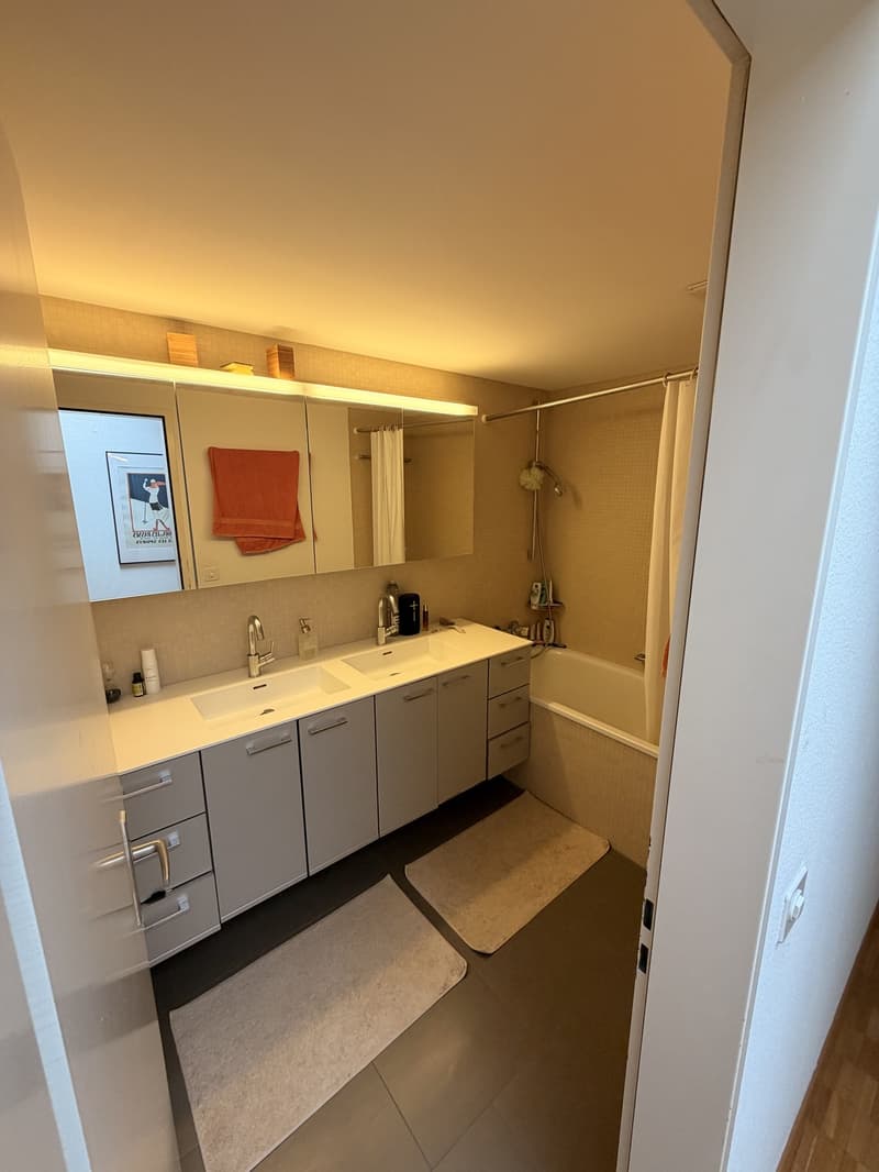 Zimmer in 5er WG zur Untermiete | Ab sofort bis Jan/Feb | Uetliberg (13)