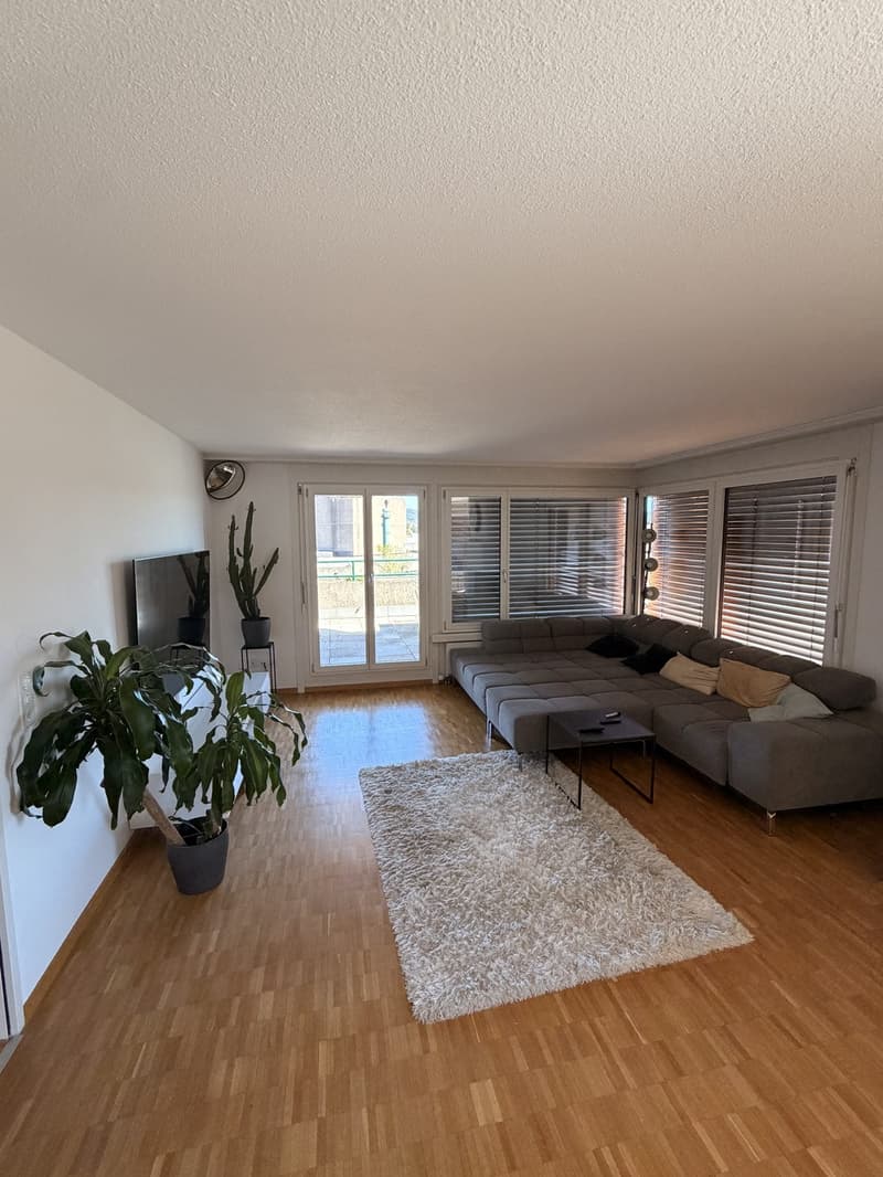 Zimmer in 5er WG zur Untermiete | Ab sofort bis Jan/Feb | Uetliberg (1)
