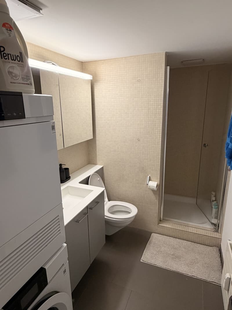 Zimmer in 5er WG zur Untermiete | Ab sofort bis Jan/Feb | Uetliberg (12)