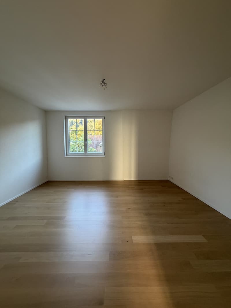 WG - 3.5 Zimmerwohnung in Adliswil (1)