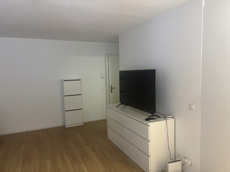 1 room apartment, 8004 Zurich (4)