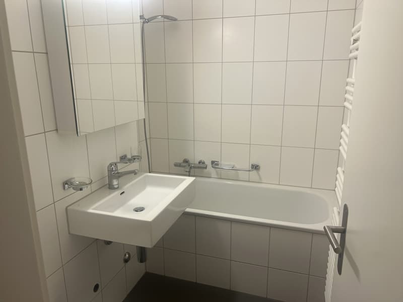 1 room apartment, 8004 Zurich (2)