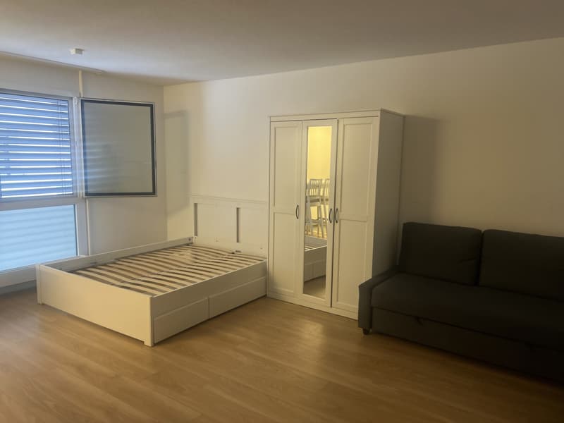 1 room apartment, 8004 Zurich (1)