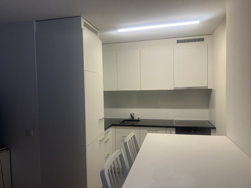 1 room apartment, 8004 Zurich (3)