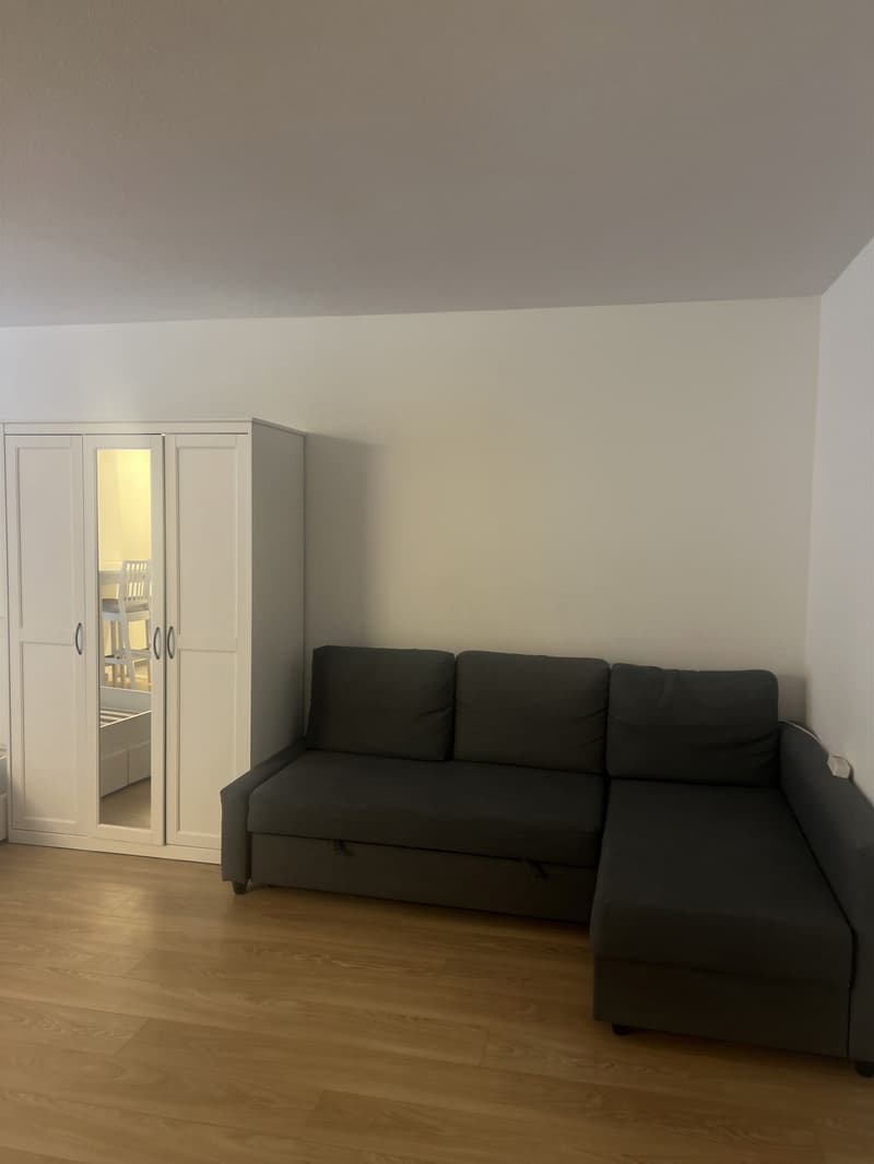 1 room apartment, 8004 Zurich (5)