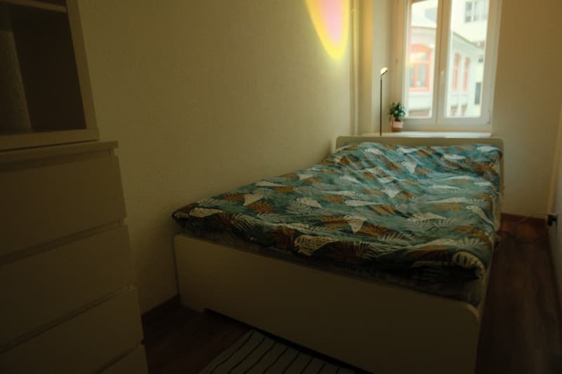 Bright room in a central appartment near Zurich Main Station (HB) (1)