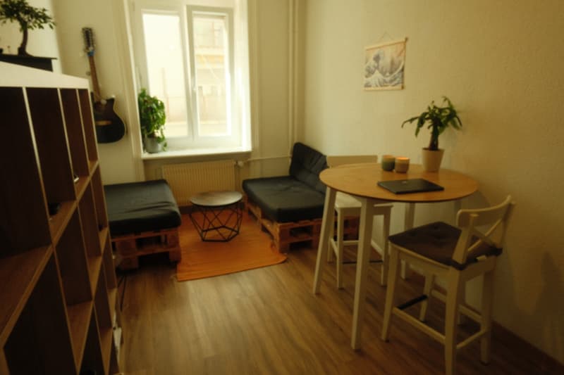 Bright room in a central appartment near Zurich Main Station (HB) (3)