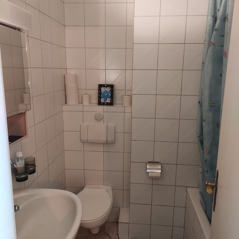 Bright room in a central appartment near Zurich Main Station (HB) (4)
