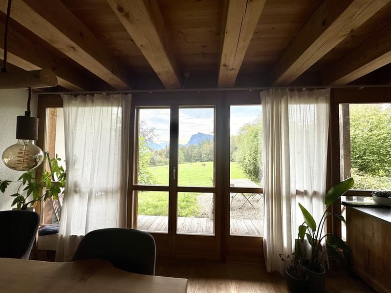 WG mit Bergsicht am See (3)