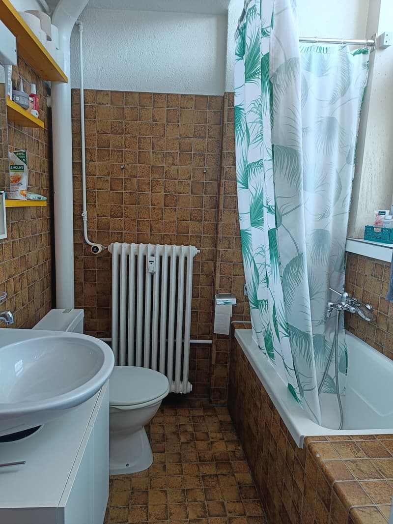 2-Zimmer Wohnung im Kreis 4 (7)