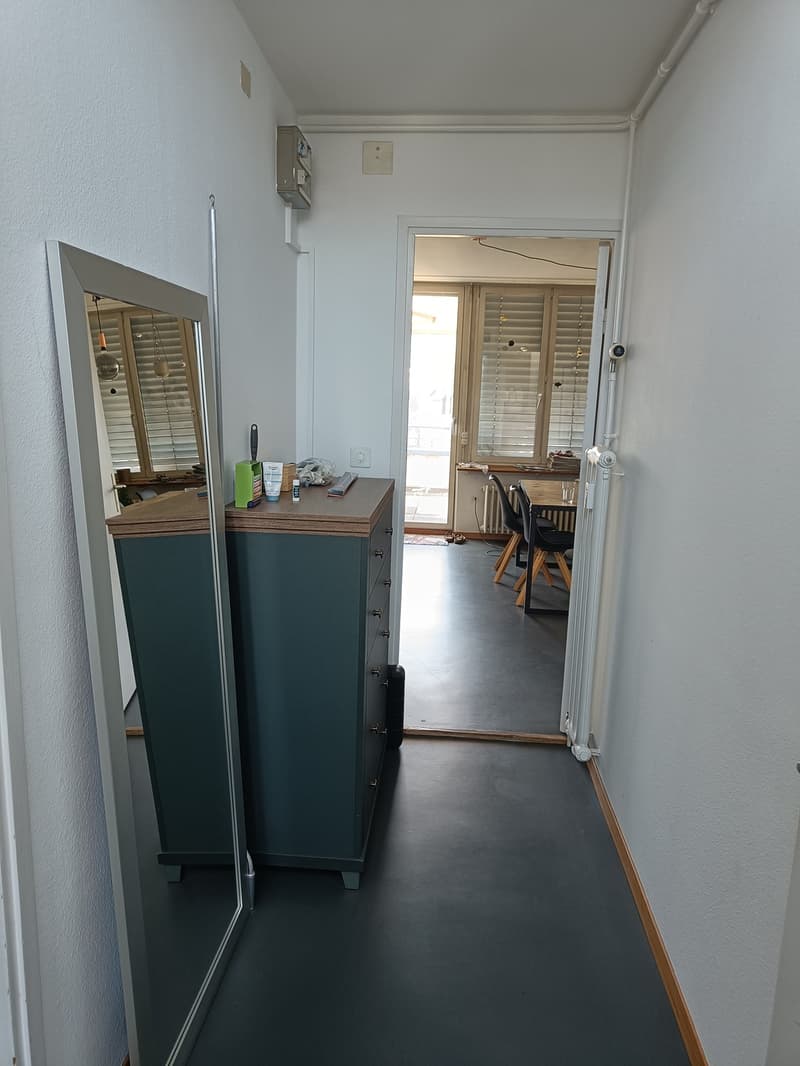 2-Zimmer Wohnung im Kreis 4 (6)