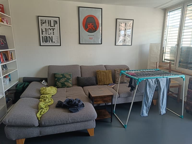 2-Zimmer Wohnung im Kreis 4 (4)