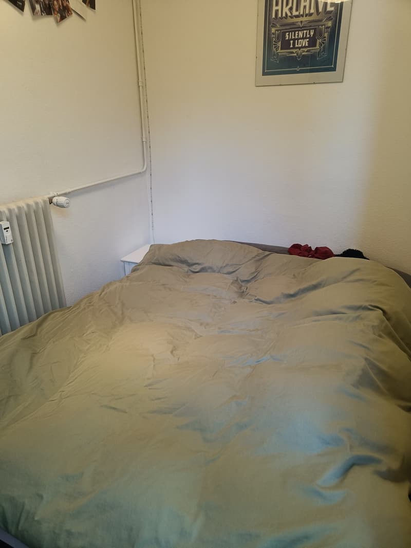 2-Zimmer Wohnung im Kreis 4 (11)