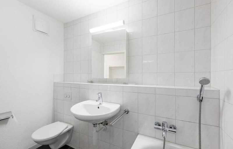 4.5-Zimmer-Wohnung mit grossem Garten CHF 2230. inkl. NK & Einstellhallenplatz (9)