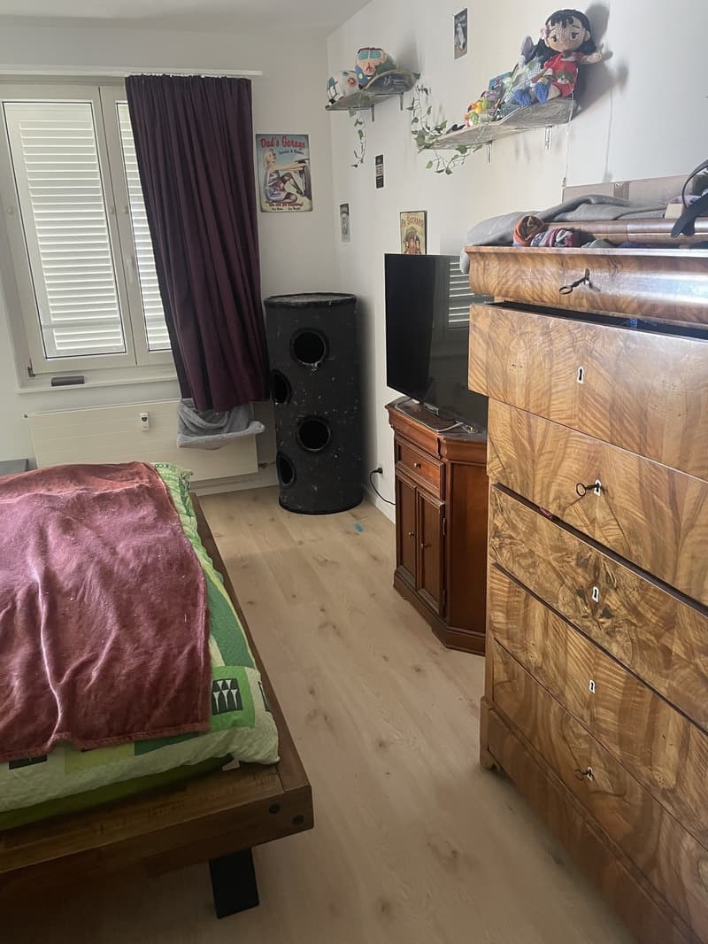 Möblierte 2-Zimmer-Wohnung zur Zwischenmiete (6)