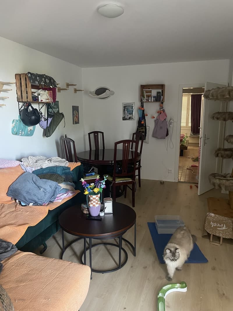 Möblierte 2-Zimmer-Wohnung zur Zwischenmiete (1)
