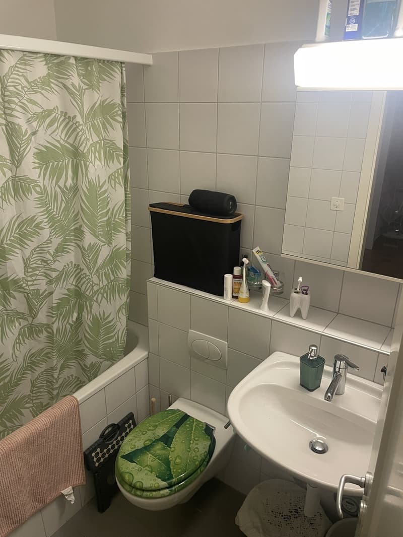 Möblierte 2-Zimmer-Wohnung zur Zwischenmiete (5)