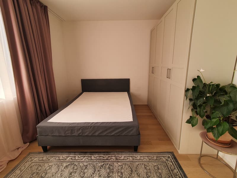 Helle 2.5-Zimmer-Attika-Wohnung mit grosser Terrasse nahe Zürichberg/ 2.5-room penthouse apartment with a spacious terrace near Zürichberg (6)