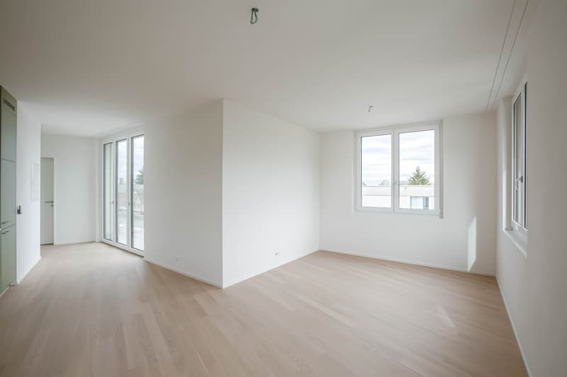 Helle 2.5-Zimmer-Attika-Wohnung mit grosser Terrasse nahe Zürichberg/ 2.5-room penthouse apartment with a spacious terrace near Zürichberg (3)