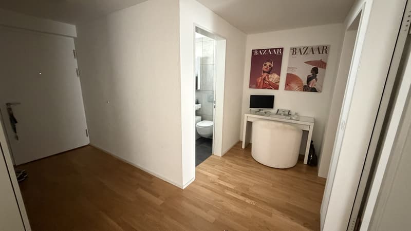 Nachmieter gesucht moderne 3.5-Zimmer-Neubauwohnung in Regensdorf-Watt (7)