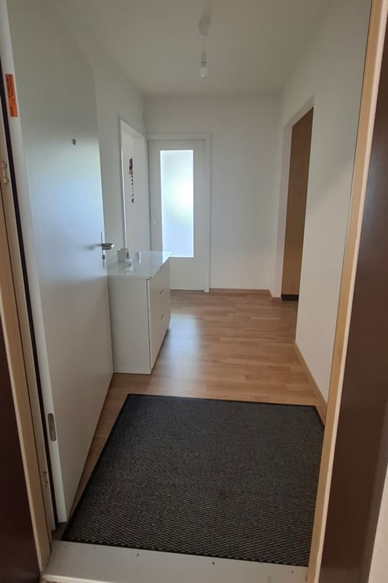 Helle 3-Zimmer-Wohnung in Nürensdorf (1)