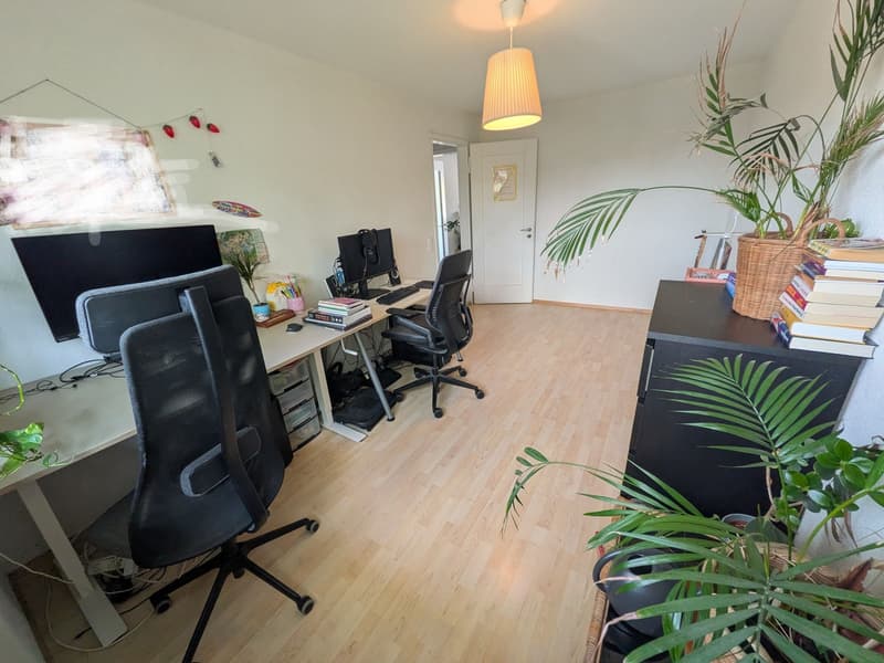 Large bright 3.5 room apartment (13)