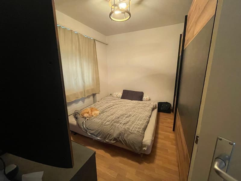 2½-Zimmerwohnung Oberengstringen (4)