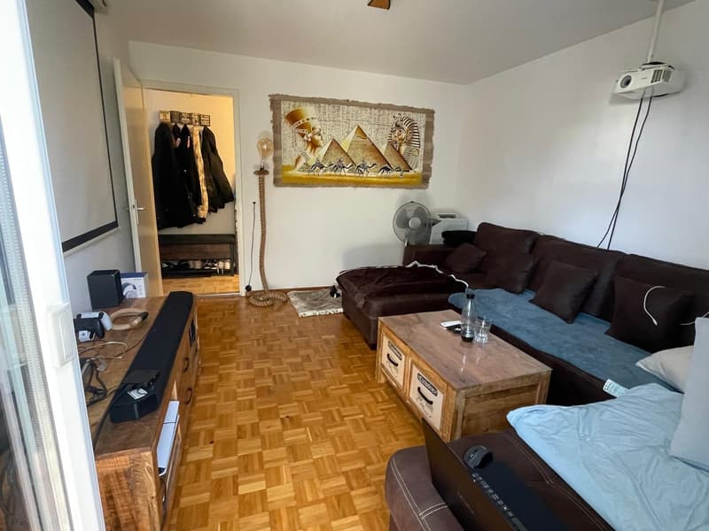 2½-Zimmerwohnung Oberengstringen (3)