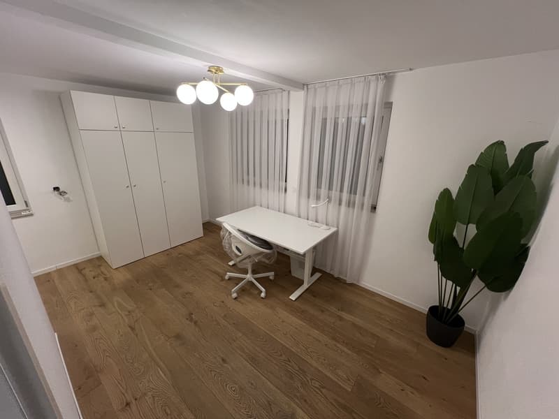Hochwertiges Appartement (vollausgestattet) (9)