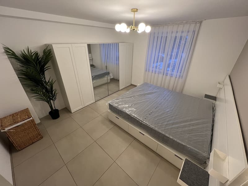 Hochwertiges Appartement (vollausgestattet) (8)