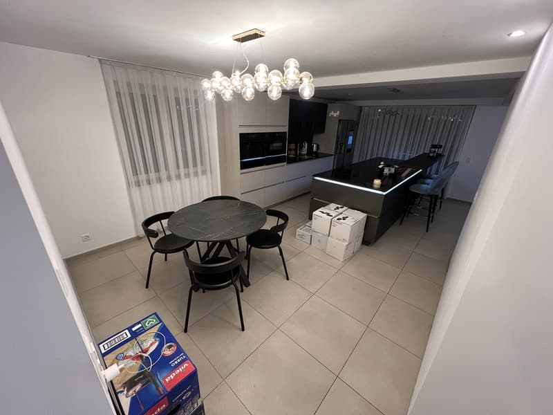 Hochwertiges Appartement (vollausgestattet) (5)