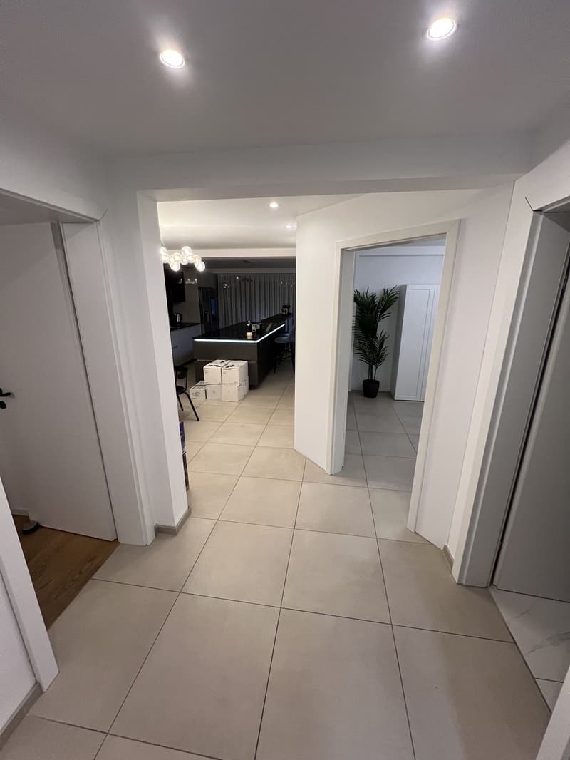 Hochwertiges Appartement (vollausgestattet) (12)