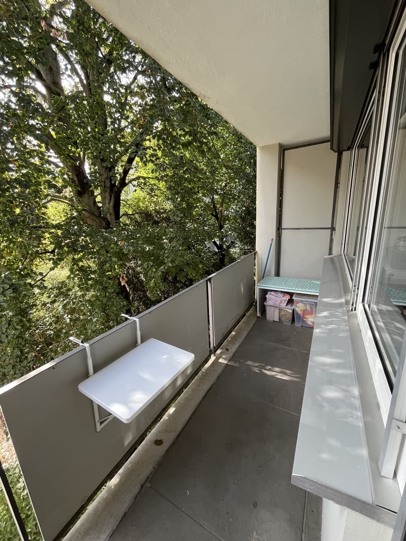 Gemütliche 1-Zimmer Wohnung in Basel (5)
