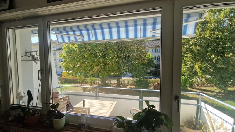 Large room aviable in light spacious and quite apartment (5)
