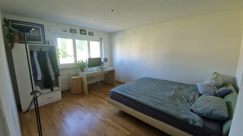 Large room aviable in light spacious and quite apartment (2)