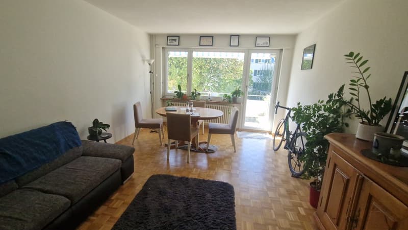 Large room aviable in light spacious and quite apartment (1)